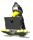 Avatar du membre