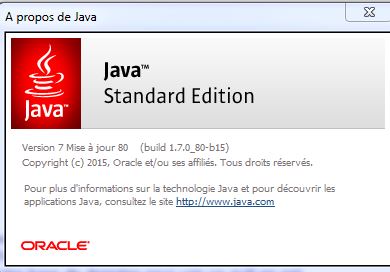 Version Java.JPG